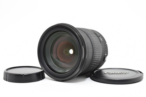 Quasi mint sigma dc - [quasi,